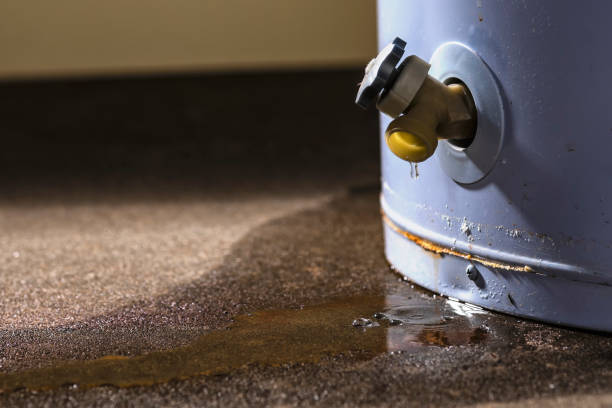 Best Water damage contractors near me  in Seacliff, CA