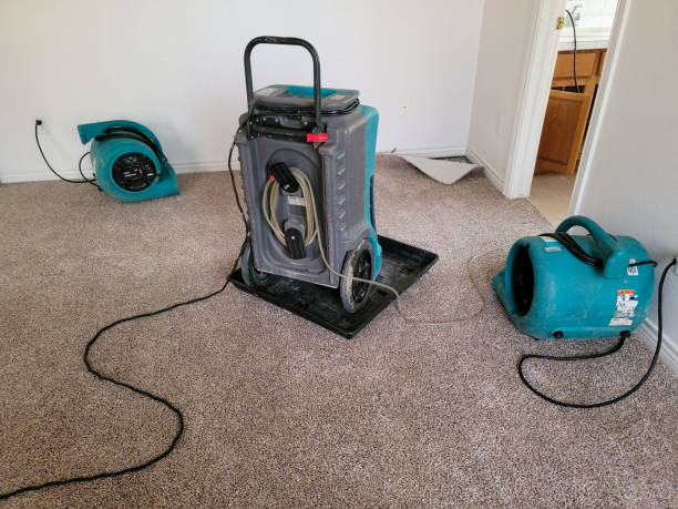 Best Water damage restoration near me  in Seacliff, CA
