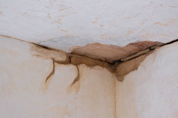 Best Commercial water damage restoration  in Seacliff, CA