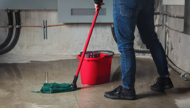 Best Water damage cleanup near me  in Seacliff, CA