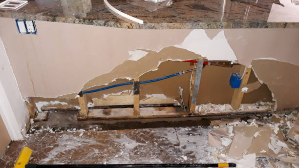 Best Professional water damage repair  in Seacliff, CA