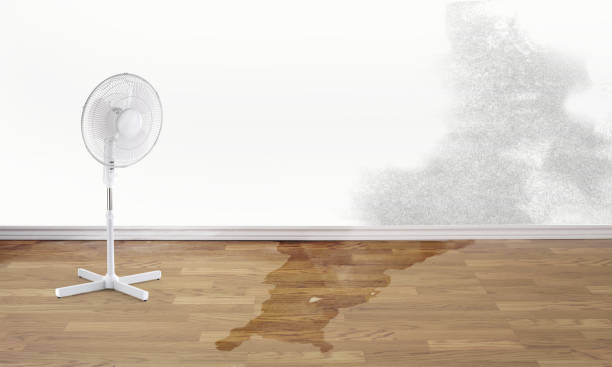 Best Sewage cleanup and water damage restoration  in Seacliff, CA