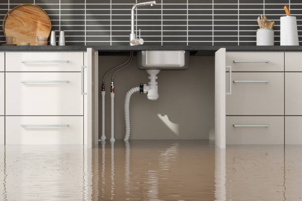 Best Flood restoration services  in Seacliff, CA